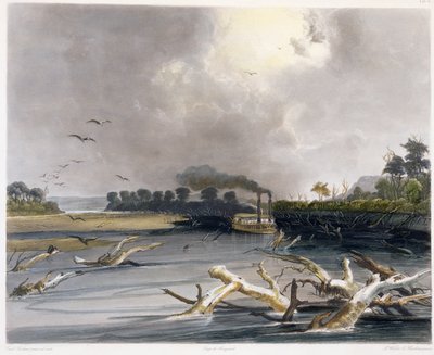 Ostacoli (alberi sommersi) sul Missouri, tavola 6 dal Volume 2 di 